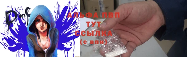 СК Нягань