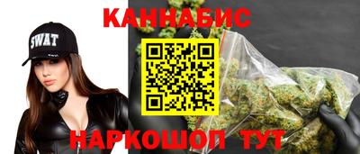 спиды Гатчина