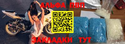 спиды Гатчина