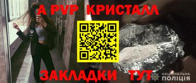 спиды Гатчина